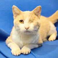 Spaghetti - Furry Friday - 11-12-2021