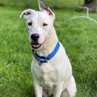 Zeus - Furry Friday - 2-11-2022