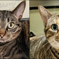 Tallulah and Primrose - Furry Friday - 1-28-2022