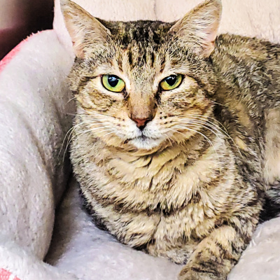 Furry Fridays On The Point