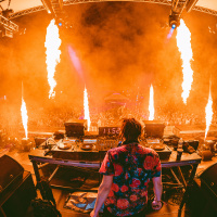 Through the Lens of EDM: Capturing the Rhythm of Music and Energy with ThisIsMTK