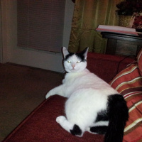 Best and Worst of 2017