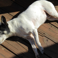 Spencers and Cliffs Drinking with Spencer and Cliff