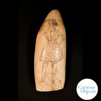 Whale Teeth and the Pirate Princess