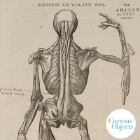 The Marginalia That Made Christies Value This Book at $1 Million