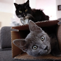 EP-392 Handling our Jealousy