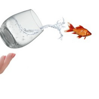 EP-388 Venturing outside our comfort zone | നമ്മുടെ സൗകര്യ വലയത്തിൽ നിന്നും പുറത്തു കടക്കാൻ 