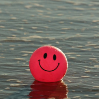 EP-426 സന്തോഷവും തേടി | In Search of Happiness