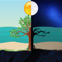 #138 Having A Bad Day