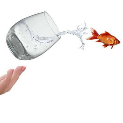 Vinod Narayan-be Content Be Penpositive