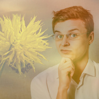 Hochsensibel: Weichei, Mimose oder ganz normal?