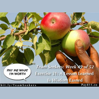Team Seekers Week 49: Exercise 31: A Lesson Learned is Wisdom Earned