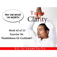 Team Clarity Week 42/47: Exercise 30: Thankfulness Or Gratitude?