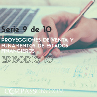 PROYECCIONES DE VENTAS