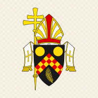 Sixth Sunday in Ordinary Time – Two-Minute Homily: Fr Peter Dillon