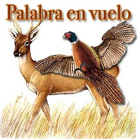 Xik’nal T’aan 242