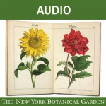Literary Audio Tour