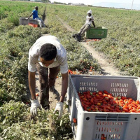 Caporalato, lassoluzione di un sistema criminale - Yvan Sagnet