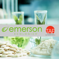 Ginseng And Ginkgo Biloba Effects On Cognition