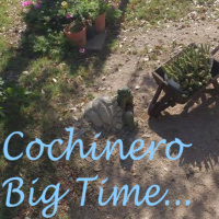 CBT Podcast - Sesión 4