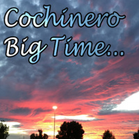 CBT Podcast - Relleno 3 (Pelis del 2018)