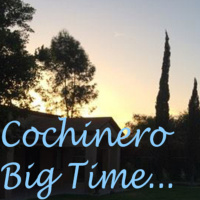 CBT Podcast - La revancha melomana de Schnyder (Especial musiquita)