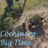 CBT Podcast - ¨8 Tracks perfectos, que 20 con relleno¨ (Especial musical)