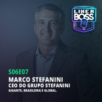 Marco Stefanini, CEO do Grupo Stefanini. Gigante, brasileira e global.