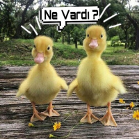 Ne Vardı ? 2. Bölüm - İnternetten Alışveriş Yapmak, Diziler ve Duyuru !