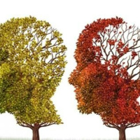 Psikiyatriden Gündeme (54): Eşitliğin olmadığı bir dünyada ruh sağlığı