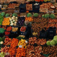 İstanbul Büyükşehir Belediyesi İstanbul Gıda Strateji Belgesini kamuoyunun görüşüne açtı