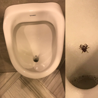 Psikolog Beyhan Budak