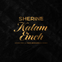 Sherine - Kalam Eineh (Vesim Ipek  Enes Beskardes Remix)