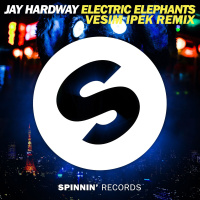 Jay Hardway - Electric Elephants (Vesim Ipek Remix)
