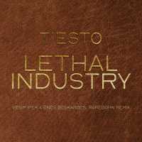 Tiesto - Lethal Industry (Vesim Ipek  Enes Beskardes, Rareborn Remix)