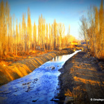 Hayat Bu Sözler , ?yi Haber, Müjde ?ark?lar? - Türkiyede Nüfusun Temel Dilleri(no.1-no.16)? Words Of Life, Good Ne