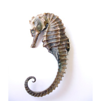 动物_海洋 海马 seahorse