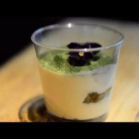 食物_西班牙 抹茶提拉米苏 Matcha Tiramisu