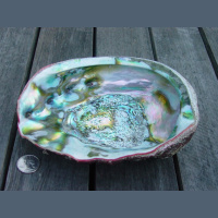 食物_西班牙 海鲜 seafood