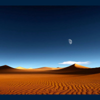 动物_沙漠 沙漠 desert