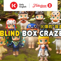 Blind box craze 火爆的“盲盒”
