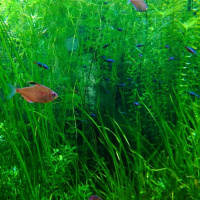 #22 Mutluluk | Çevremizdeki Mutsuz Kişilere Rağmen Mutluluğumuzu Sürdürebilmek