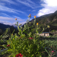 No.109 1994，在北京攀岩