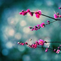 2.美的形貌与美的德行