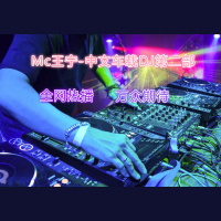Mc王宁-2017中文车载串烧DJ第二部