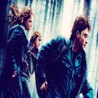 Harry Potter and The Chamber of Secrets - Chapter 13 - 02