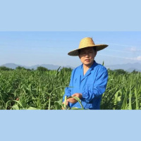 【CC讲坛】谢旗：和天和地和民的新农业