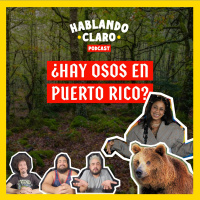 ¿Hay osos en Puerto Rico?