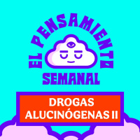 DROGAS ALUCINÓGENAS 2 (Té de Campana, PEYOTE y DMT) - El Pensamiento Semanal