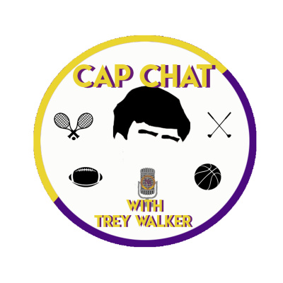 Cap Chat